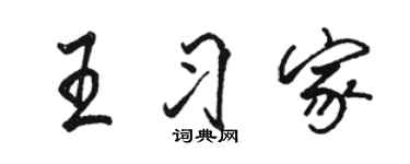 駱恆光王習家行書個性簽名怎么寫