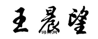 胡問遂王晨望行書個性簽名怎么寫