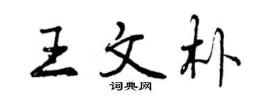 曾慶福王文朴行書個性簽名怎么寫