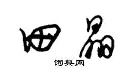 朱錫榮田晶草書個性簽名怎么寫