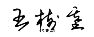 朱錫榮王樹基草書個性簽名怎么寫