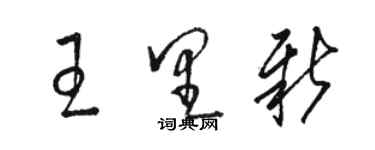 駱恆光王里新草書個性簽名怎么寫