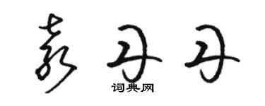 駱恆光袁丹丹草書個性簽名怎么寫