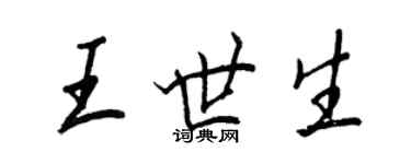 王正良王世生行書個性簽名怎么寫