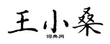 丁謙王小桑楷書個性簽名怎么寫