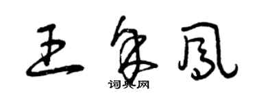 曾慶福王余鳳草書個性簽名怎么寫