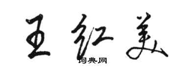 駱恆光王紅美行書個性簽名怎么寫