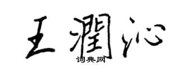 王正良王潤沁行書個性簽名怎么寫