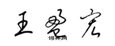 梁錦英王盈宏草書個性簽名怎么寫