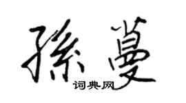 王正良孫蔓行書個性簽名怎么寫