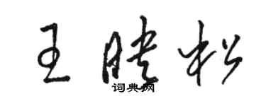 駱恆光王映松草書個性簽名怎么寫