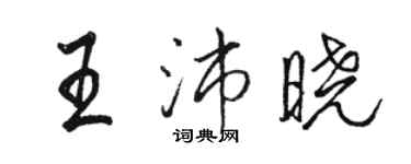 駱恆光王沛曉行書個性簽名怎么寫