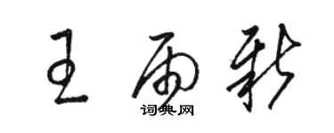 駱恆光王雨新草書個性簽名怎么寫