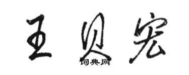 駱恆光王貝宏行書個性簽名怎么寫