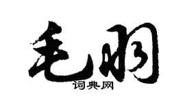 胡問遂毛羽行書個性簽名怎么寫