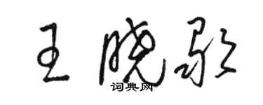 駱恆光王曉歌草書個性簽名怎么寫