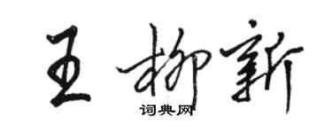 駱恆光王柳新行書個性簽名怎么寫