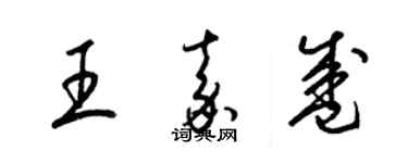 梁錦英王嘉盛草書個性簽名怎么寫