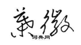 駱恆光葉徽草書個性簽名怎么寫