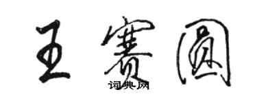 駱恆光王賽圓行書個性簽名怎么寫