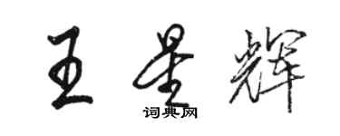 駱恆光王星輝行書個性簽名怎么寫