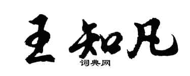 胡問遂王知凡行書個性簽名怎么寫