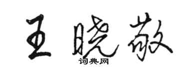 駱恆光王曉敬行書個性簽名怎么寫