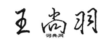 駱恆光王尚羽行書個性簽名怎么寫