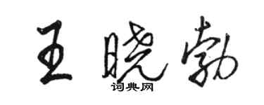 駱恆光王曉勃行書個性簽名怎么寫