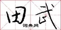田武怎么寫好看