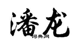 胡問遂潘龍行書個性簽名怎么寫