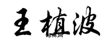 胡問遂王植波行書個性簽名怎么寫