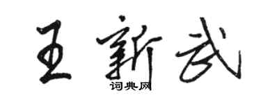 駱恆光王新武行書個性簽名怎么寫