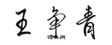 駱恆光王爭青行書個性簽名怎么寫