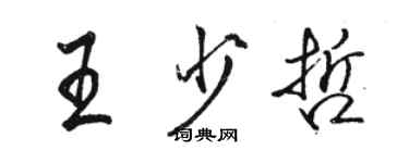 駱恆光王少哲行書個性簽名怎么寫