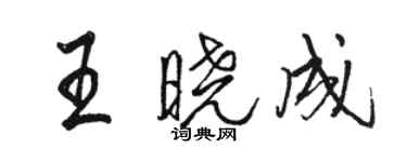 駱恆光王曉成行書個性簽名怎么寫