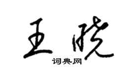 梁錦英王曉草書個性簽名怎么寫
