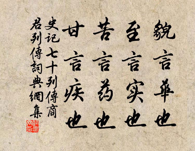 司馬遷貌言華也,至言實也,苦言藥也,甘言疾也。書法作品欣賞