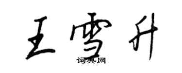 王正良王雪升行書個性簽名怎么寫