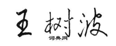 駱恆光王樹波行書個性簽名怎么寫