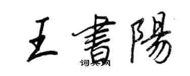 王正良王書陽行書個性簽名怎么寫