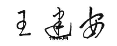 駱恆光王建安草書個性簽名怎么寫