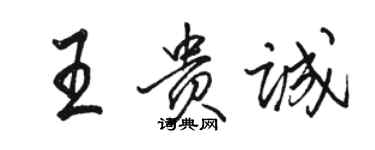 駱恆光王貴誠行書個性簽名怎么寫