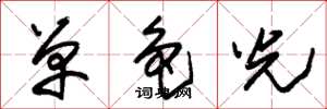朱錫榮單色光草書怎么寫