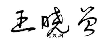 曾慶福王曉曾草書個性簽名怎么寫