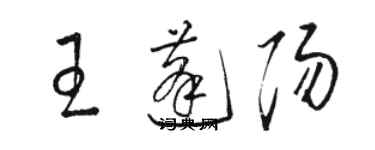 駱恆光王蓬陽草書個性簽名怎么寫