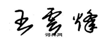 朱錫榮王雲烽草書個性簽名怎么寫