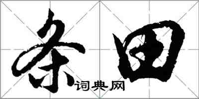 胡問遂條田行書怎么寫