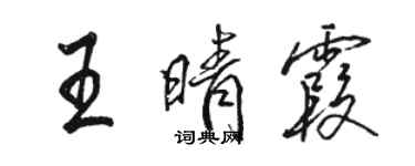 駱恆光王晴霞行書個性簽名怎么寫