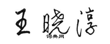 駱恆光王曉淳行書個性簽名怎么寫